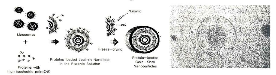 코어 · 쉘 나노입자의 형성 모식도와 형태