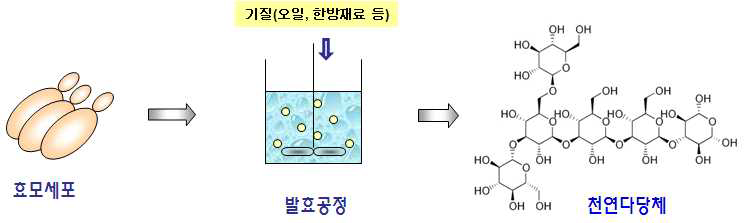 Pseudozyma sp. SY16을 이용한 MEL생산.