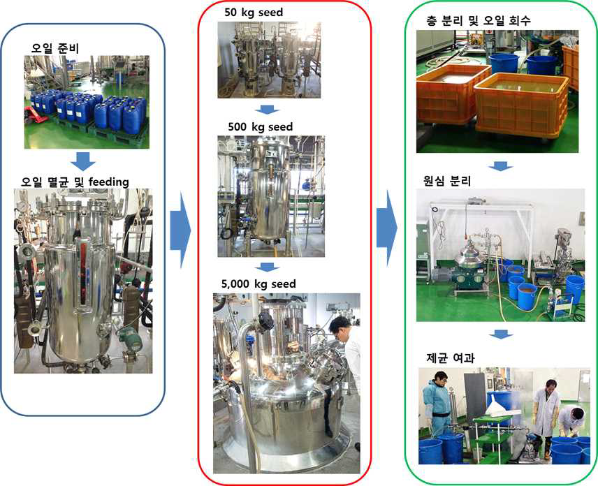 대량생산을 위한 발효 공정 스케일업.