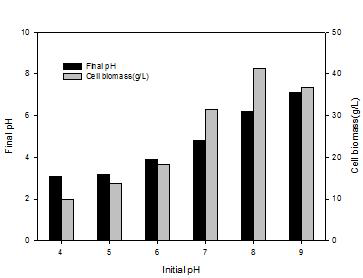초기 pH의 조절에 의한 biomass량과 최후 pH의 변화