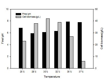 배양온도 설정에 따른biomass량과 pH의 변화