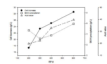 교반속도에 따른 cell biomass량과 에탄올 침전물량 그리고 산가