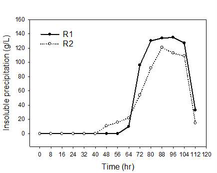 SY16 배양 중에 생성되는 insoluble precipitate.