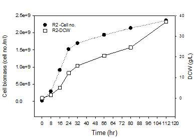 배양 시간 별 cell biomass의 변화