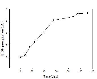 Lab scale ethanol 침전을 통해 얻은 다당체량