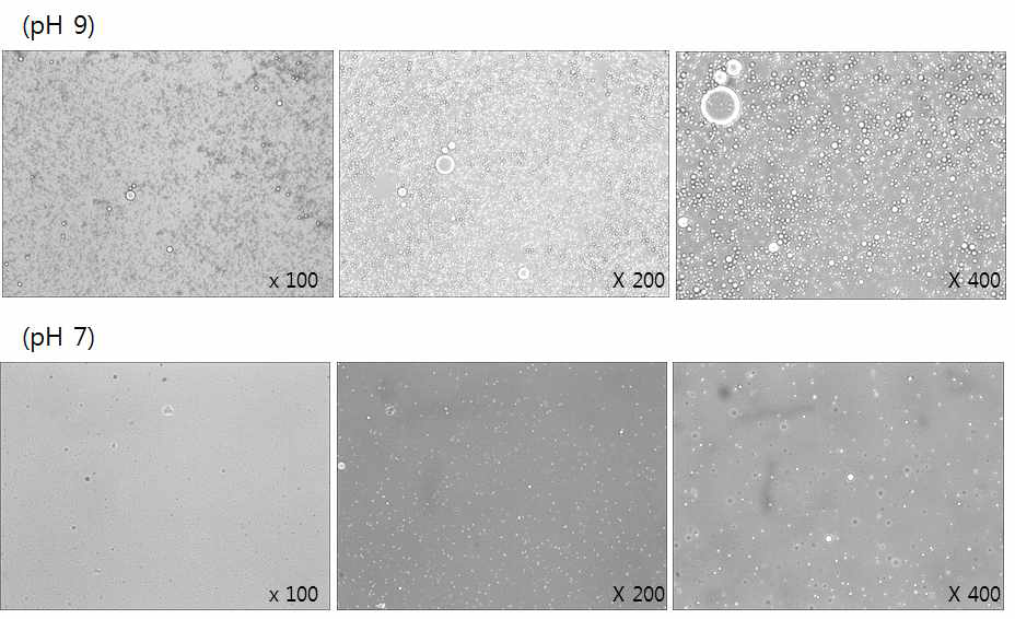 pH9와 7에서의 유화활성 확인