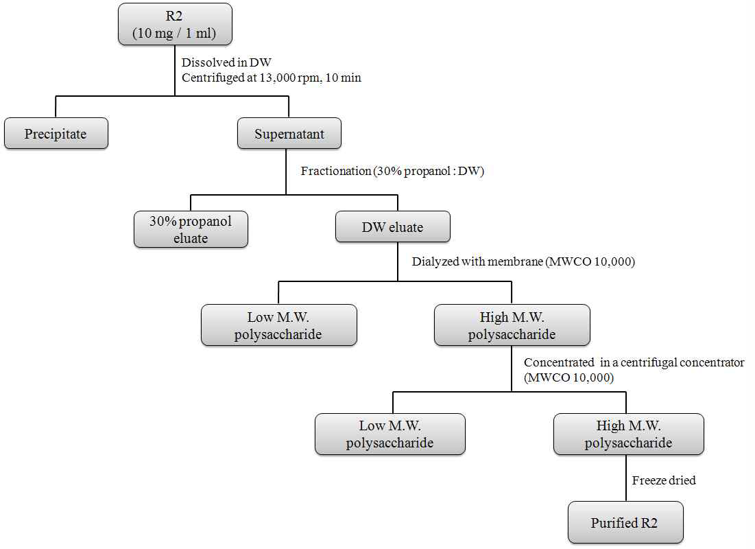 Procedure for 다당체eration and purification of R2 polysaccharide