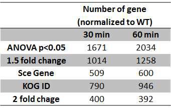 C. neoformans를 KR-72로 처리 시 발현 변화가 통계적 유의성을 나타낸 유전자의 수