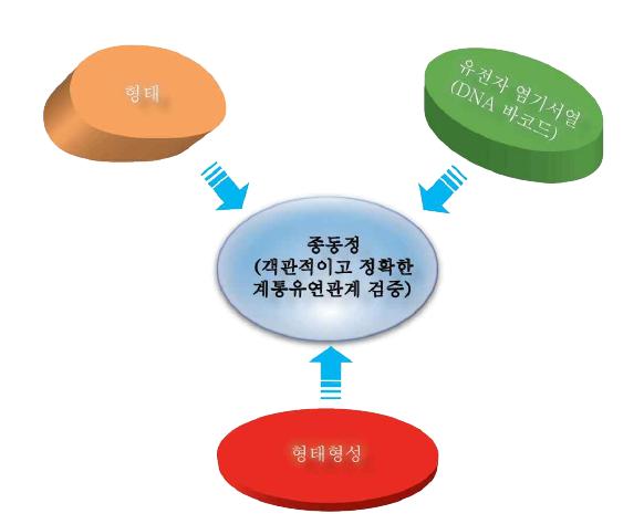 유모충 종동정을 위한 검증방법.