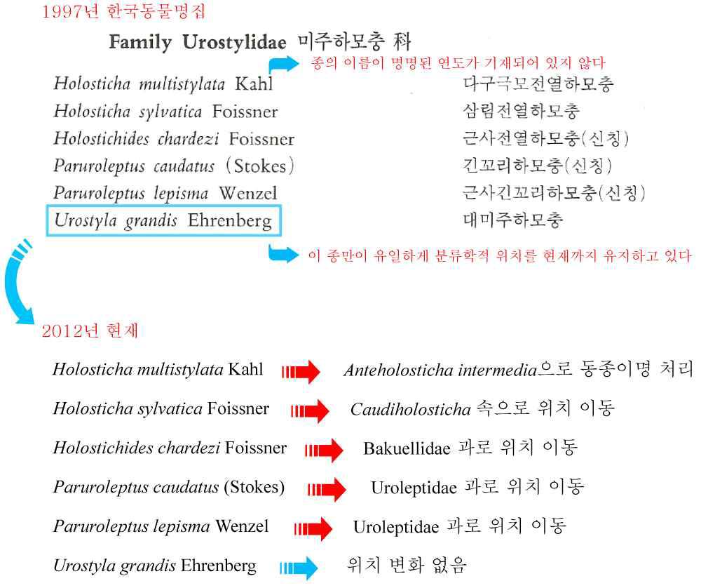 1997년 한국동물명집에 기록된 Urostylidae 과에 속하는 유모충류 목록