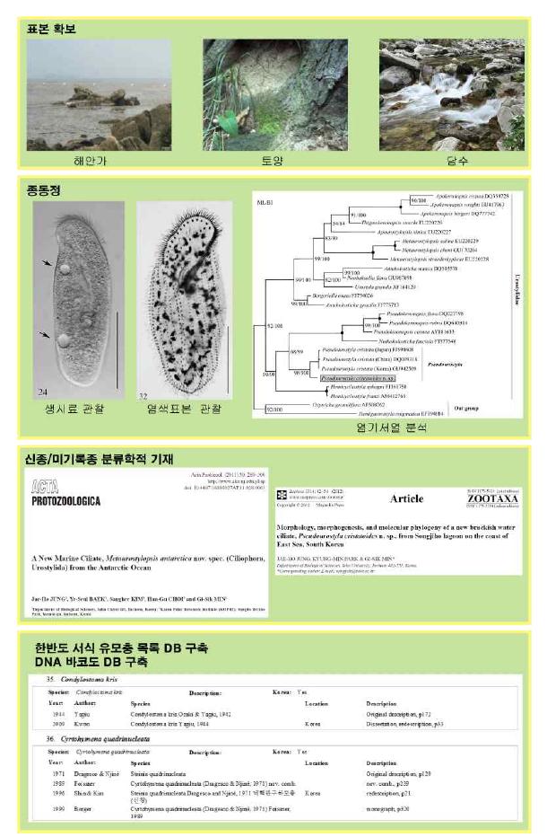 한반도 미개척 유모충류 전문인력 양성을 위한 사업진행 모식도