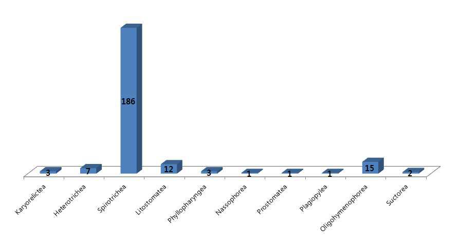 국내 보고된 10개의 강(class)과 강에 속한 기재된 종수.