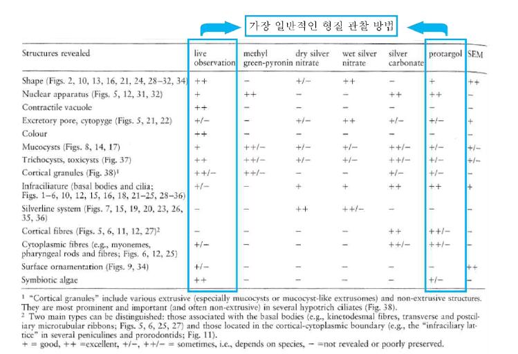 Foissner (1991)에 의해 작성된 형질 확인에 유효한 관찰 방법.