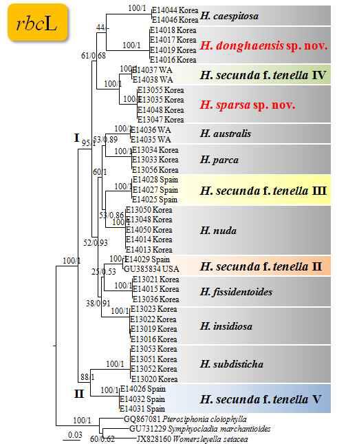 rbcL 유전자를 이용한 Herposiphonia속의 계통수