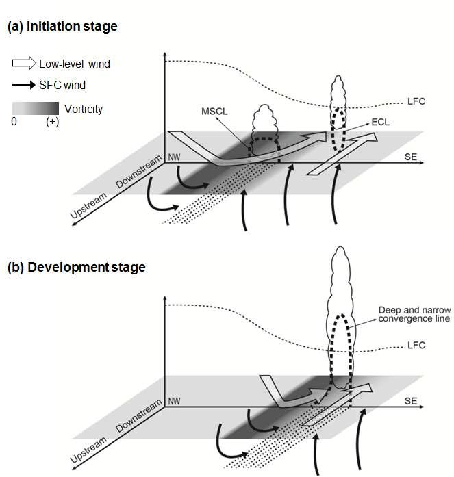 Conceptual models for initiation and development of the CB.