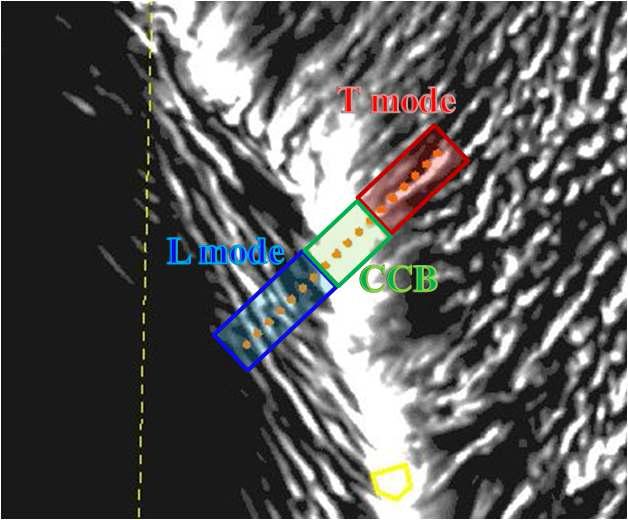 The dots in the L mode, CCB, and T mode indicate the points from which the backward and forward trajectories of the air parcels started at an altitude of 100 m ASL during the event (See the text for details). Blue box, green box, and red box indicates the area of longitudinal mode cloud zone, convergent cloud band, and transverse mode cloud zone, respectively.