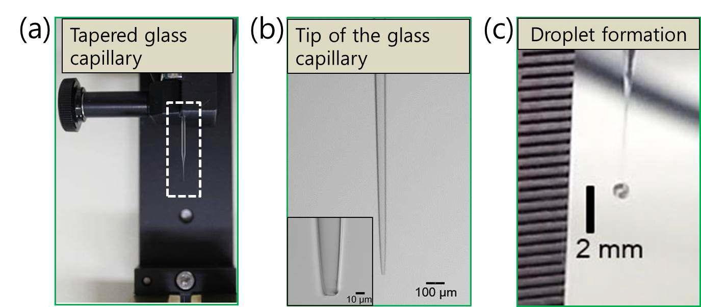 Process of producing small droplets using tapered glass capillary (a) Tapering a glass capillary using a capillary puller, (b) Micrographs of the tip of the tapered glass capillary, and (c) the formation of droplets of which diameter is about 0.7 mm.