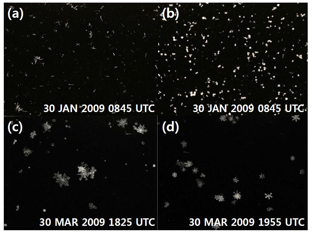 Photograph of snowflake on collection plate : (a) needle, (b) graupel, (c) dendrite, and (d) plate.