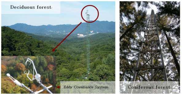 광릉 수목원 내 활엽수림에 설치된 40m 에디 공분산 타워(좌)와 침엽수림에 설치된 40m 에디 공분산 타워(우).