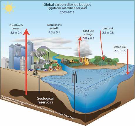 Schematic representation of the overall perturbation of the global carbon cycle caused by anthropogenic activities and averaged globally for the 2003.3.3.2012.