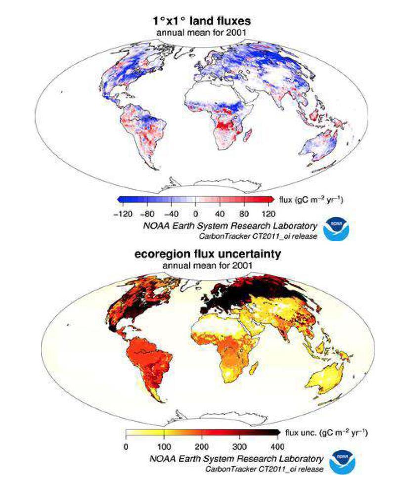 Map of optimized global biosphere fluxes.