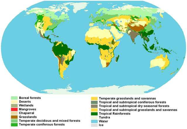 Map of World Ecoregions indicated by ECOWORLD