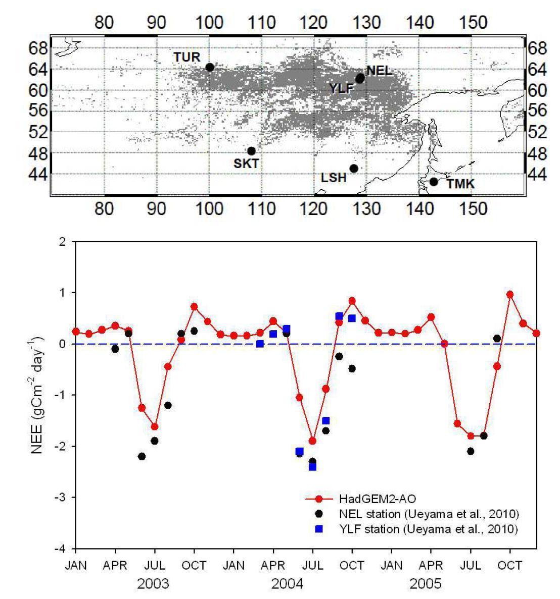 Location of observation sites from northern Eurasia to East Asia (above) and Observed Monthly variation of Net Ecosystem Exchange (below) by Ueyama et al.