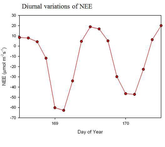 Diurnal variations of NEE from 62N, 129E grid of CarbonTracker-Asia.