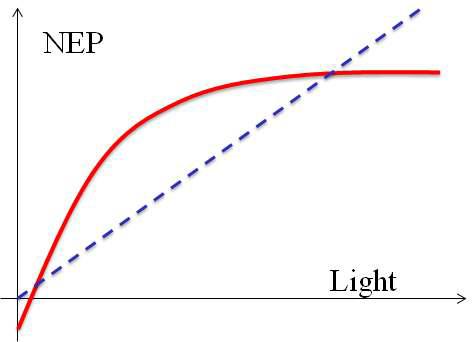 Amount of NEP (Net Ecosystem Production) to increasing Light