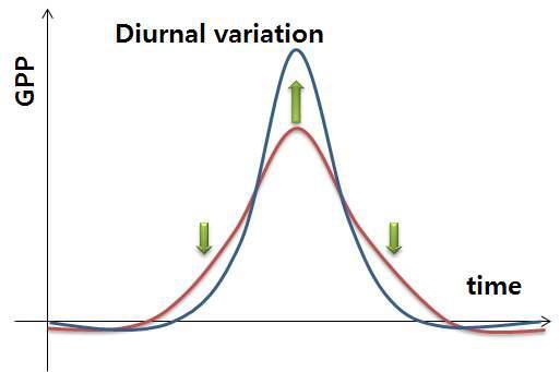 Diurnal variation of GPP using relationship equation of light use efficieny in CarbonTracker-Asia system (red) and using theoretical light use efficiency relationship (blue).