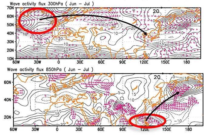 Composite fields of the (a) 300-hPa, (b) 850-hPa geopotential height anomaly (contour, intervals of 10 gpm) and the wave activity flux (WAF) (vector, units of m2 s2).