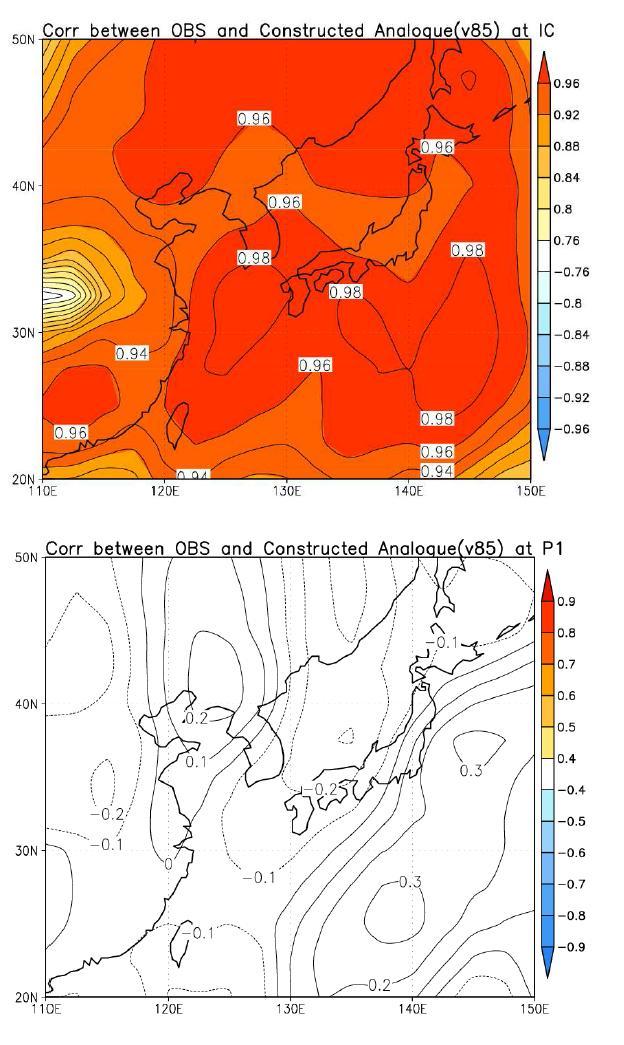 Correlation map between monthly observation and CA prediction for the 850-hPa meridional wind (v85).