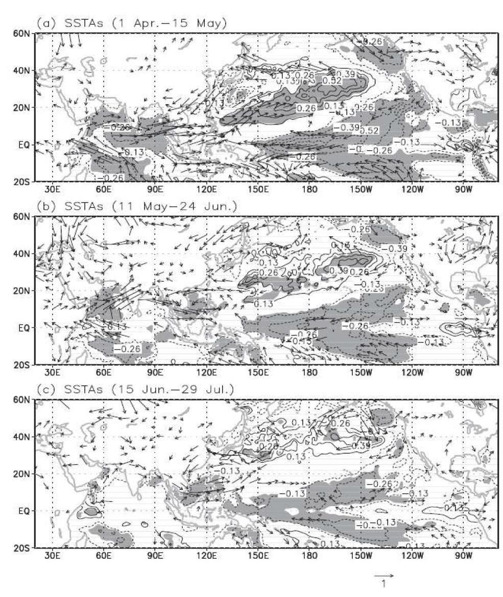 The regressed SSTAs (contour intervals of 0.13K) against the reversed spr ingtime CNINO time series for (a) 1 April - 15 May, (b) 11 May - 24 June, and (c) 15 June - 29 July (all for 1994-2011),