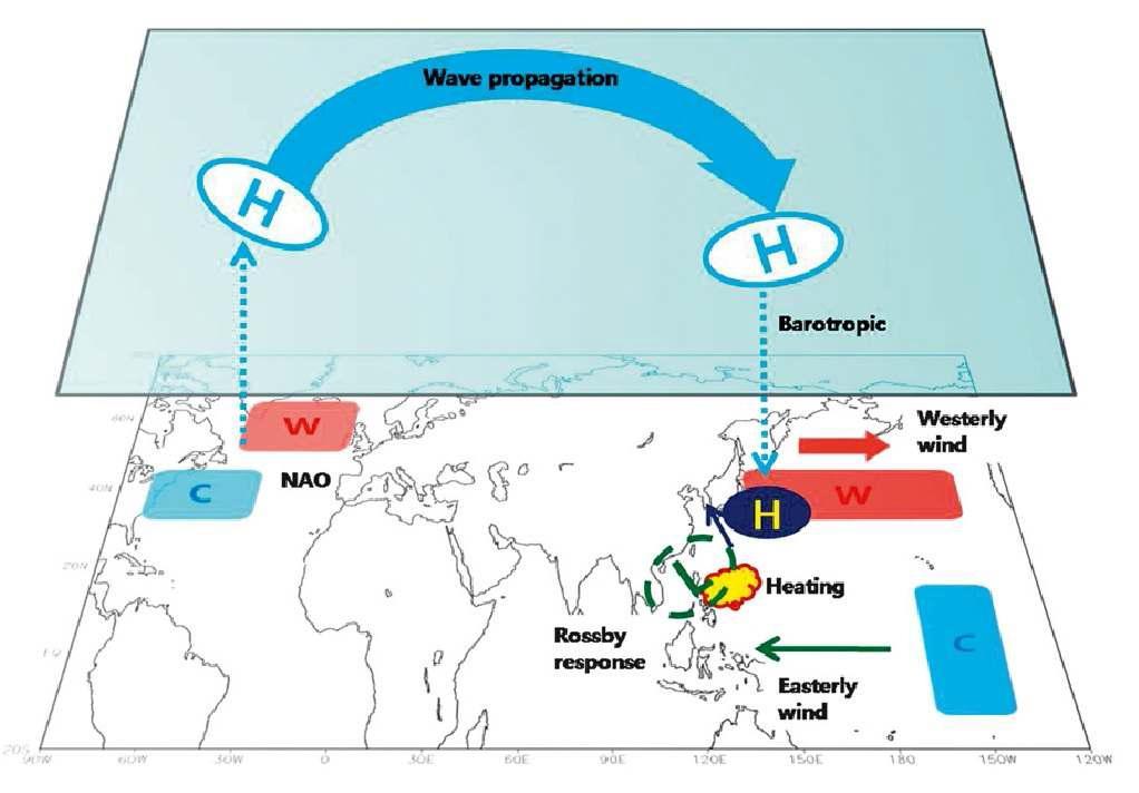 A schematic diagram illustrating the dynamic processes associated with the three predictors (i.e., SST anomalies over the central North Pacific, the North Atlan tic, and the tropical central/eastern Pacific).