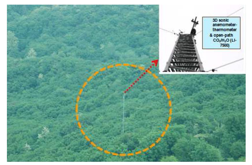 The location of CO2 flux tall tower in a cool-temperate broad-leaved deciduous forest (Quercus mongolica) at the Nam-San ecological experimental site.