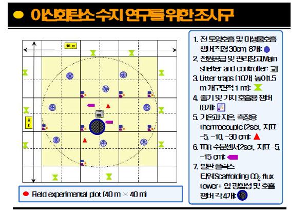 The layout of soil CO2 efflux and environmental factor measurements in the experimental plot (40 m × 40 m).