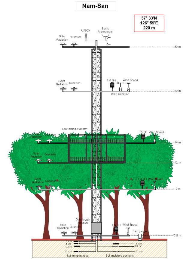 A schematic view of the canopy scaffolding tower at the Nam-San ecological experimental site.