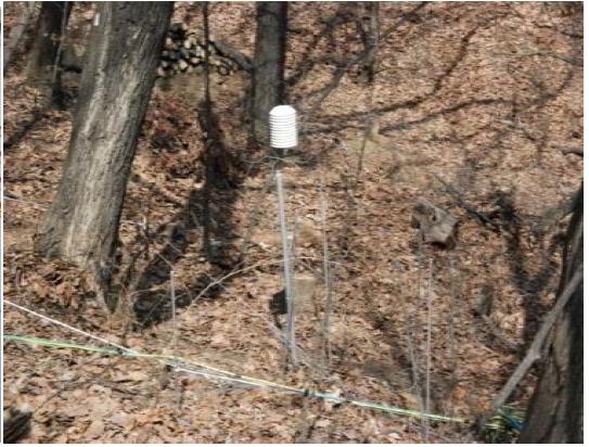 Measurements of air and soil temperatures in the experimental site.