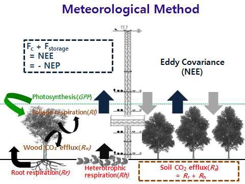 Measurements of CO2 flux using the meteorological method in a cool-temperate broad-leaved deciduous forest.