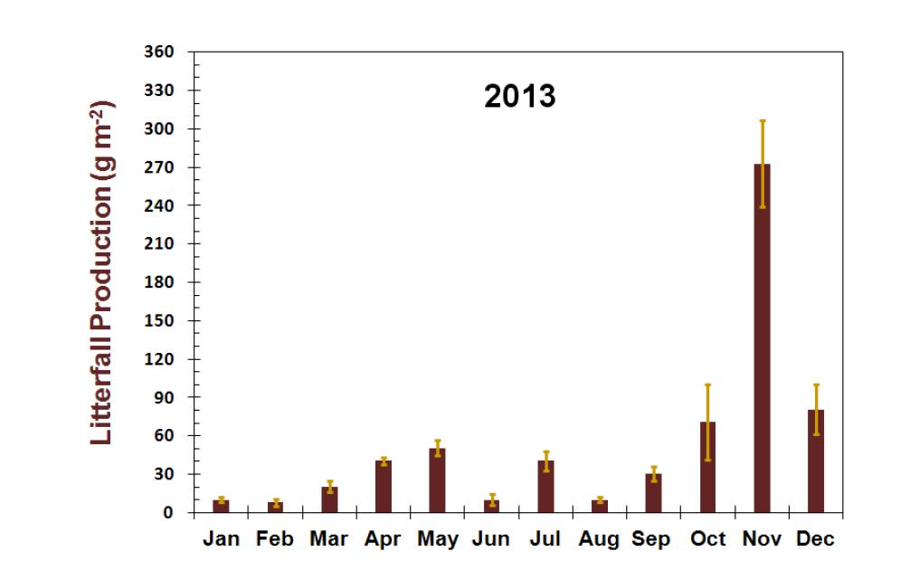 Seasonal variations of litterfall production (g m-1 y-1) in Q. mongolica forest stand at the Nam-San ecological experimental site.