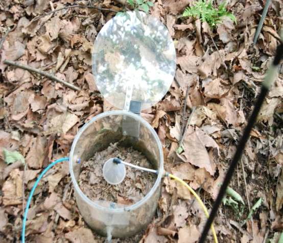 The setting of AOCCs (automatic opening/closing chamber system) on the soil surface in the forest floor.