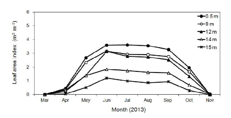 LAI (leaf area index) of the entire canopy in the Q. mongolica forest stand during the experimental period from March to November 2013 at the Nam-San ecological