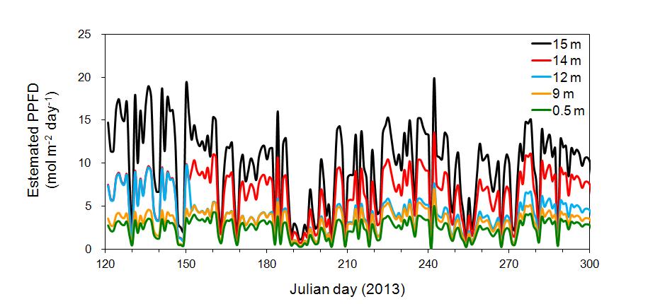 Seasonal fluctuations of daily mean PPFD (photosynthetically active photon flux density) estimated by combining the canopy-seasonality PPFD and TPAI data during the experimental period from April to October 2013.