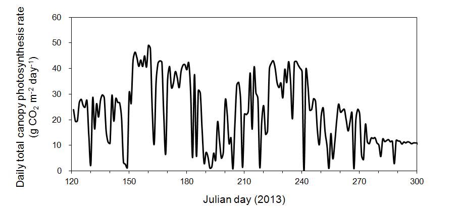 Seasonal variations of daily total mean canopy photosynthesis rate in the Q. mongolica forest stand during the whole growing season from May to October 2013.