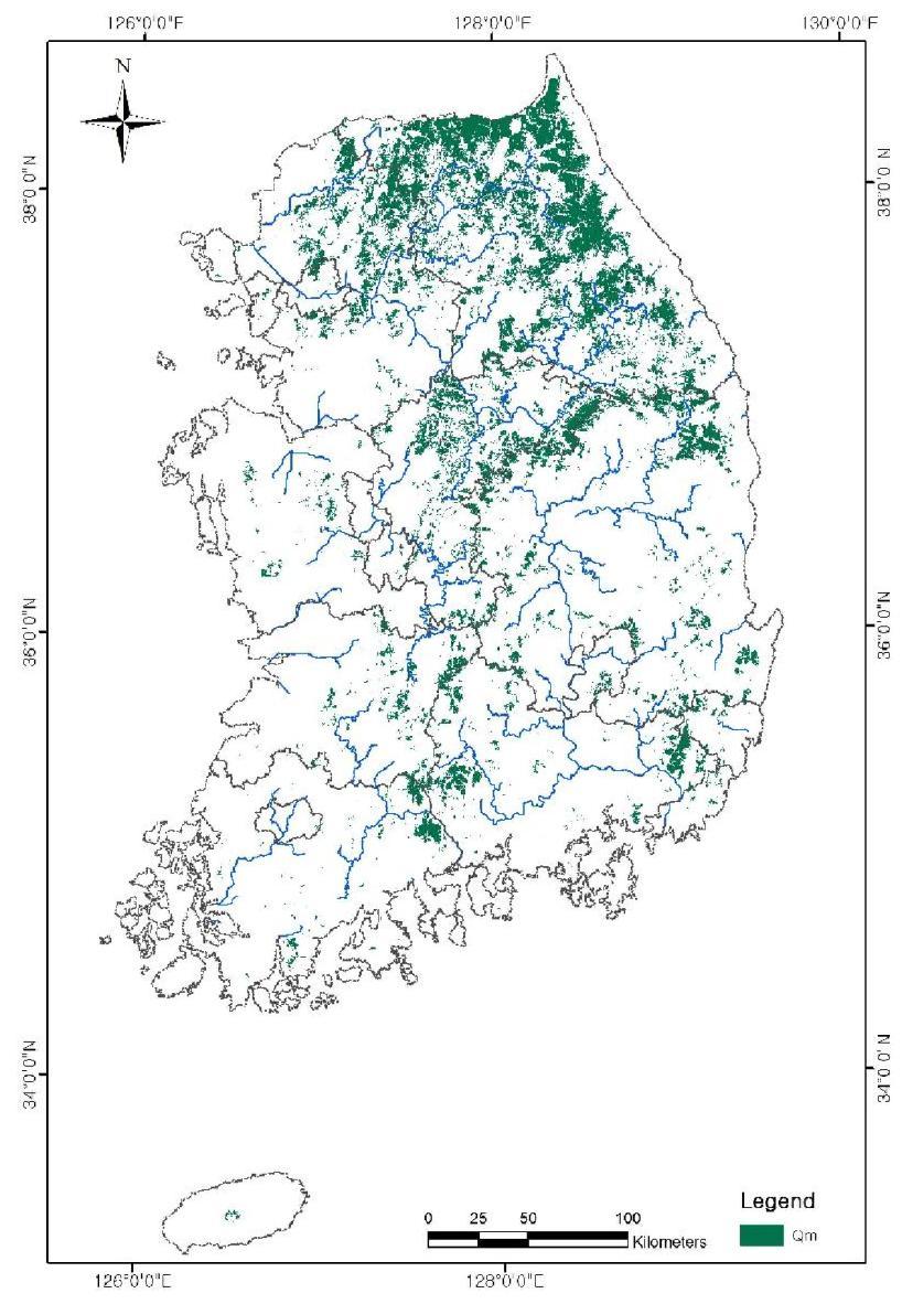 Actual vegetation map of Quercus mongolica forest in South Korea of 2012.