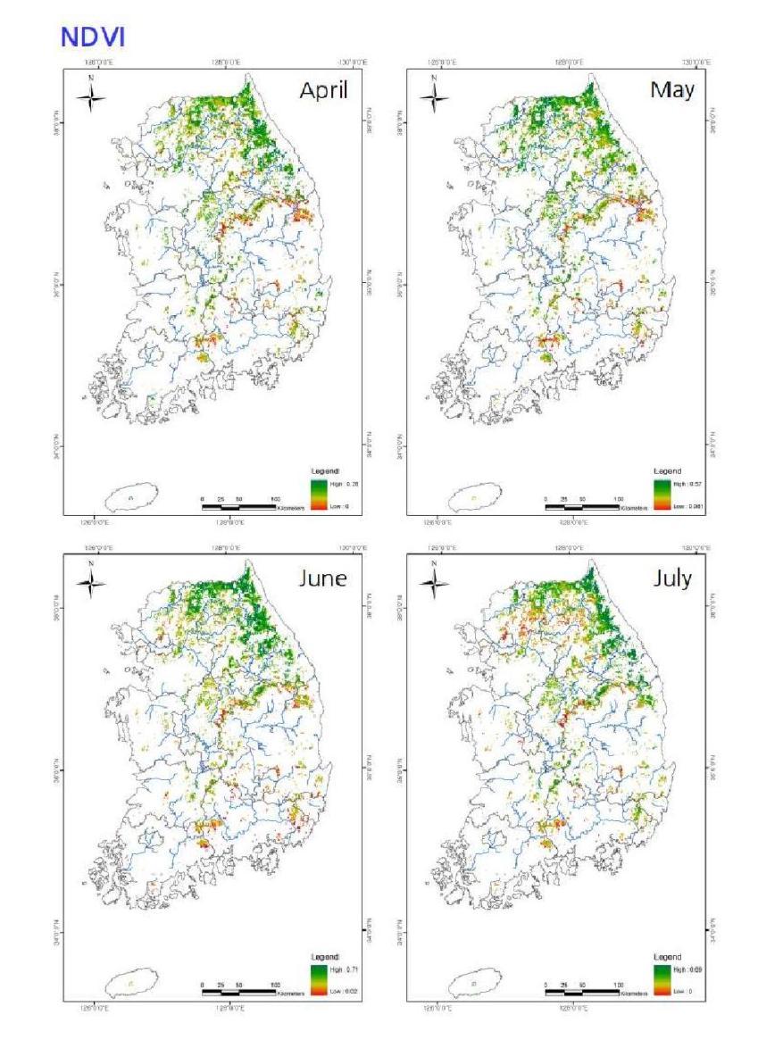 Distributions of NDVIs (April-July) for Quercus mongolica forests in South Korea.