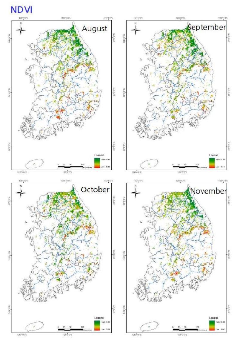 Distributions of NDVIs (August-November) for Quercus mongolica forests in South Korea.