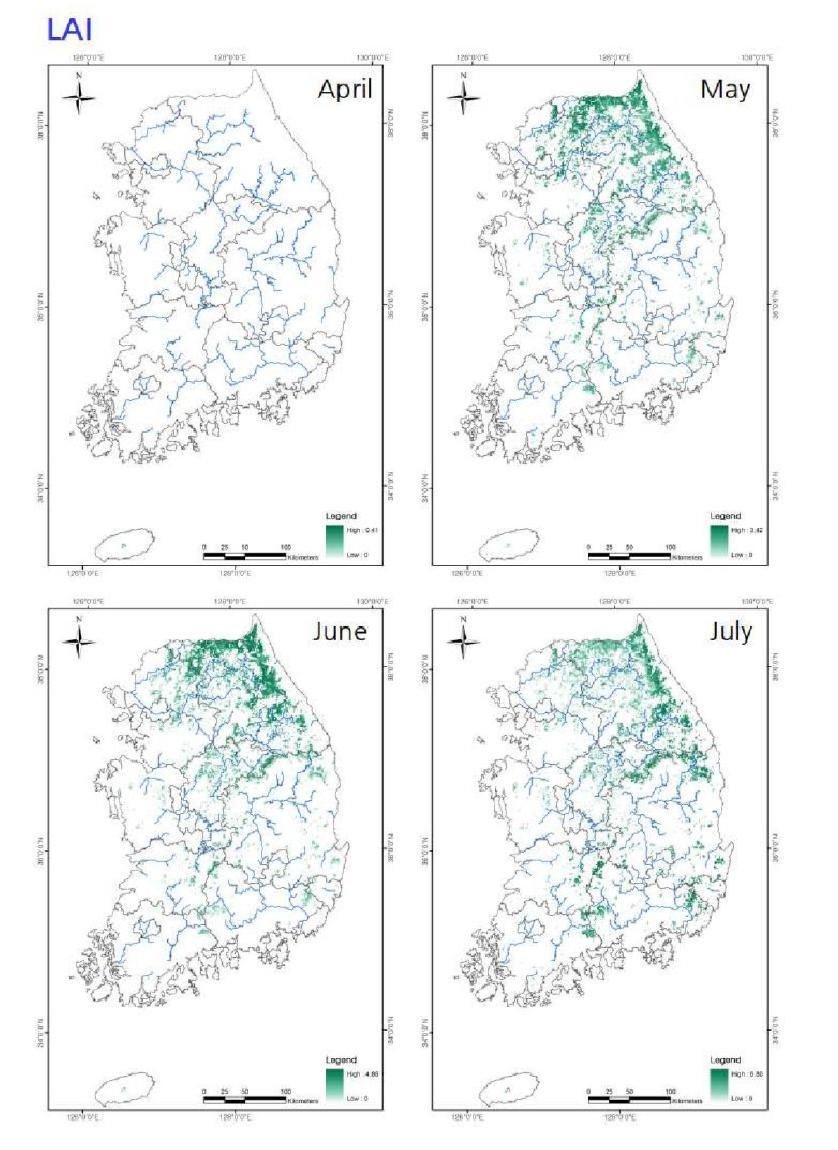 Distributions of LAIs (April-July) for Quercus mongolica forests in South Korea.