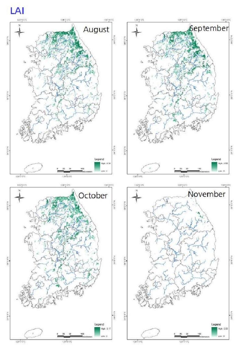 Distributions of LAIs (August-November) for Quercus mongolica forests in South Korea.