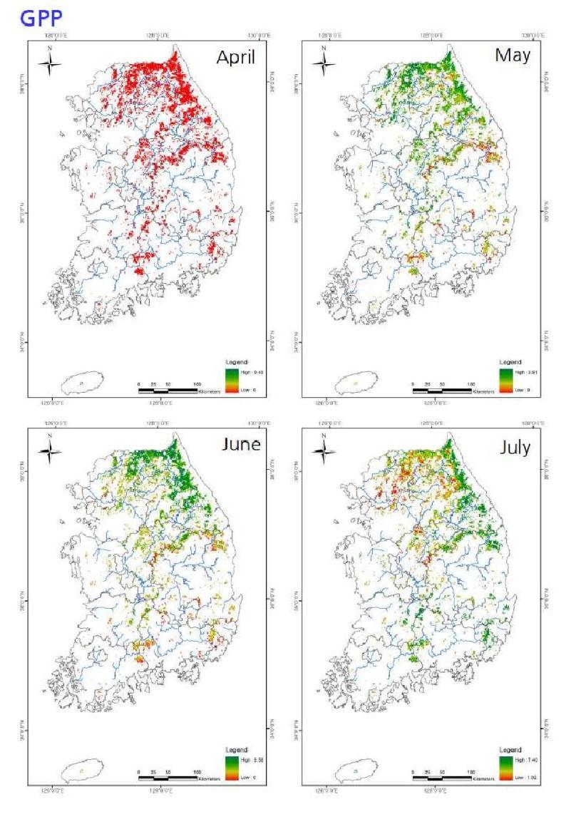 Distributions of GPPs (April-July) for Quercus mongolica forests in South Korea.